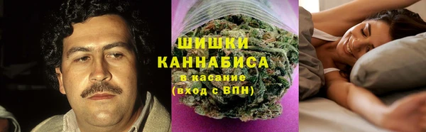 ПСИЛОЦИБИНОВЫЕ ГРИБЫ Балабаново