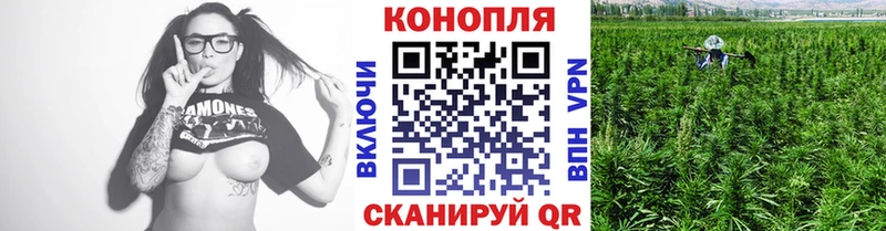 Бошки марихуана THC 21% Гулькевичи